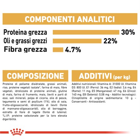 Royal Canin Persian Adult 2 kg Per Gatti in Gatti