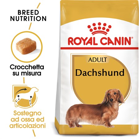 Royal Canin Dachshund Adult 1,5 kg Per Cane Bassotto in Cani