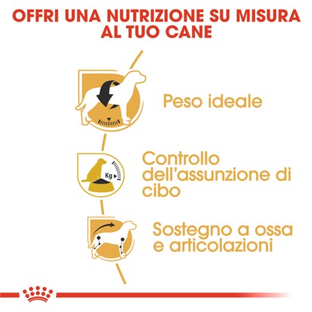 Royal Canin Beagle Adult 3 kg per Cane in Cani