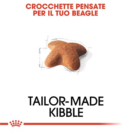 Royal Canin Beagle Adult 12 kg per Cane in Cani