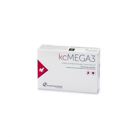 KCMEGA3 30 PERLE in Cani