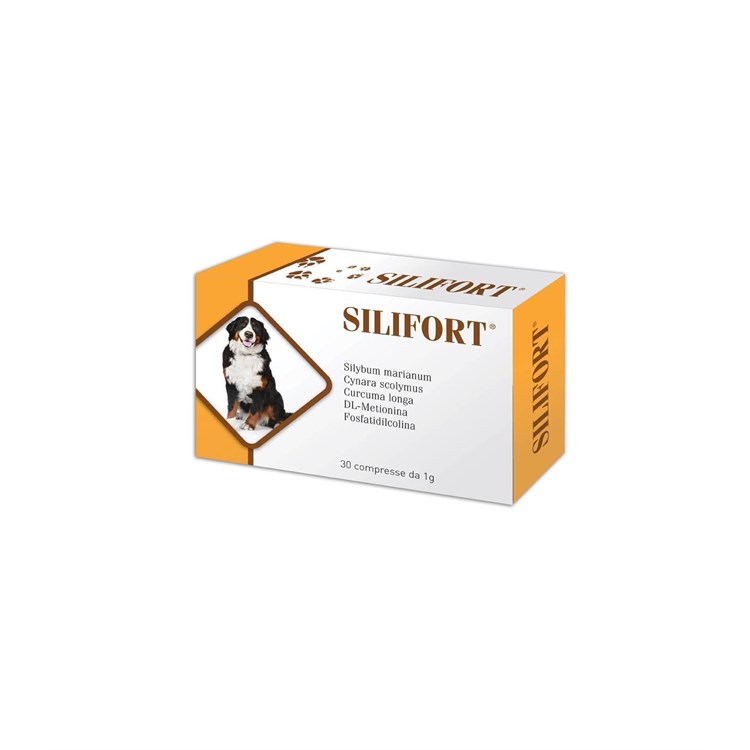 SILIFORT 30 CPR 1 GR