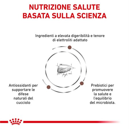 Royal Canin Gastro Intestinal Puppy 10 kg Per Cani in Cani