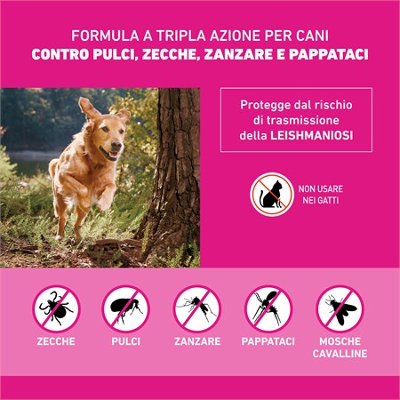 Frontline Tri Act 2 - 5 kg 3 Pipette Antiparassitario Per Cane in Cani