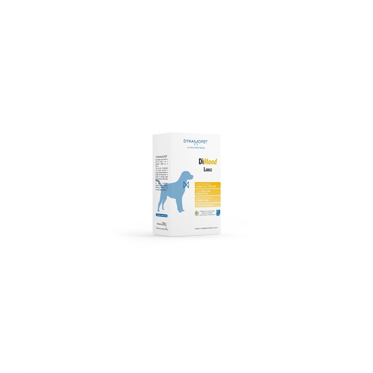 DIMOOD LARGE 20 BUSTINE 10 GR