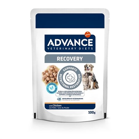 advance veterinary diets recovery 100 gr alimento umido cani gatti