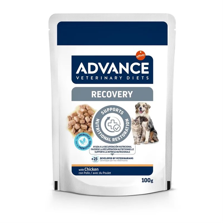 Advance Veterinary Diets Recovery 100 gr Alimento Umido Cani Gatti