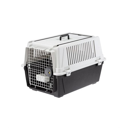 ATLAS 40 GRIGIO TRASPORTINO in Cani