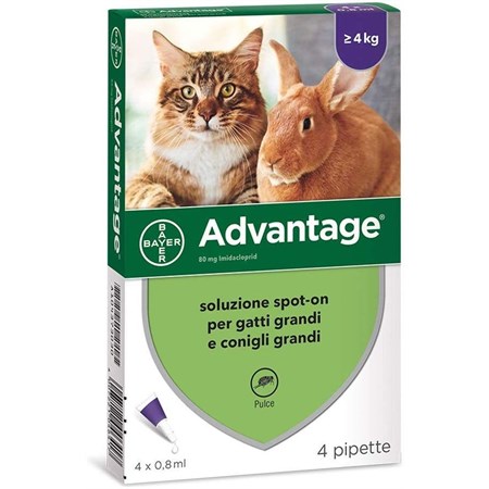 bayer advantage 80 mg per gatto oltre 4 kg 4 pipette antiparassitario