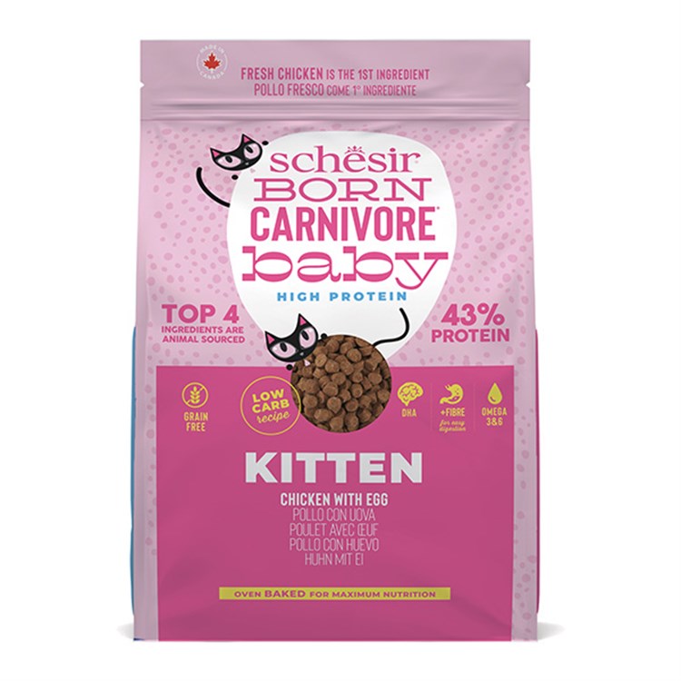 Born Carnivore Kitten Cat Pollo  e Uovo