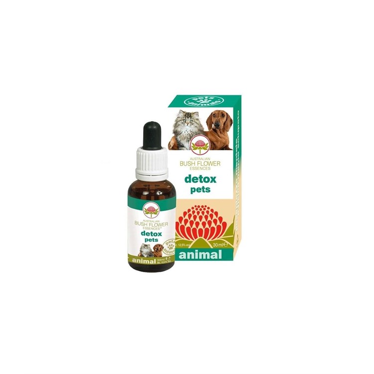 BUSH FLOWER DETOX PETS 30 ML