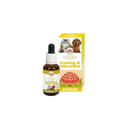 bush flower training education 30 ml