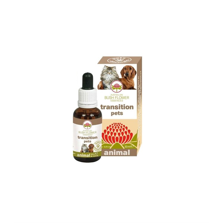 BUSH FLOWER TRANSITION PETS 30 ML