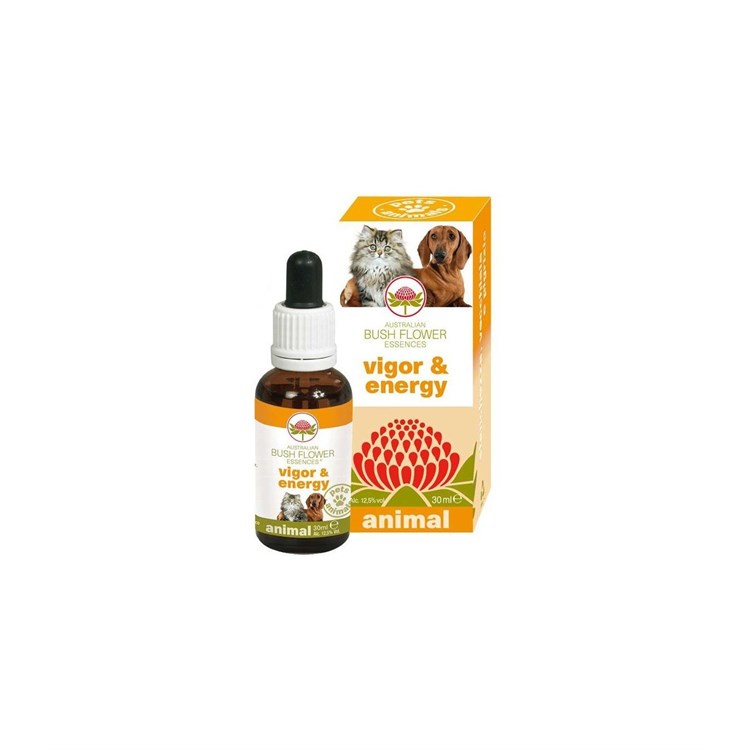 BUSH FLOWER VIGOR & ENERGY 30 ML