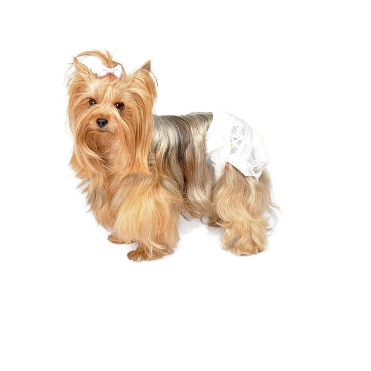 Camon 12 Pannolini Mutandina Taglia M Per Cani Femmina