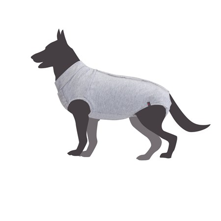 Camon Body Tutina Post Operatoria 40 cm Per Cane in Cani