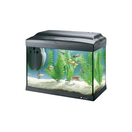 cayman 40 classic nero