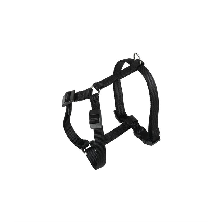 CHAMPION P EX.LARGE NERA PETT.