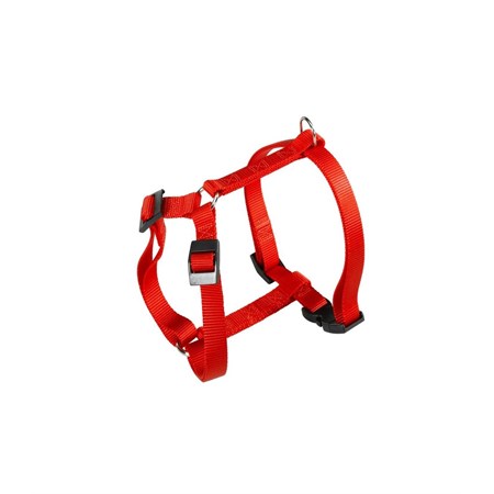 champion p exlarge rossa pett