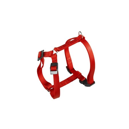 champion p large rossa pett