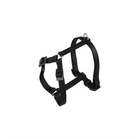 CHAMPION P MEDIUM NERA PETT. in Cani