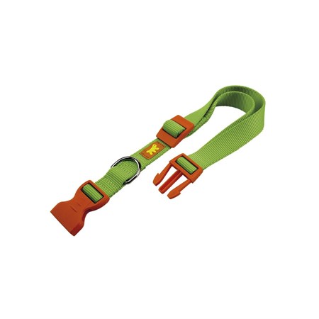 CLUB C20/56 COLOURS VERDE COL. in Cani