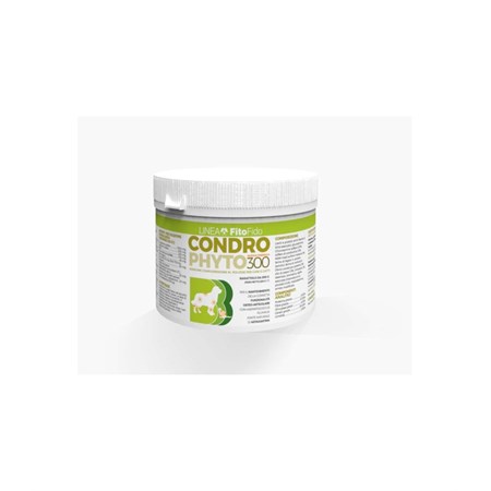 condrophyto polvere 300 gr