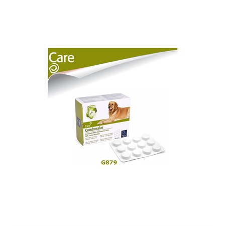 CONDROSALUS 60 CPR in Cani