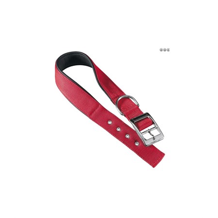 DAYTONA C20/43 ROSSO COLLARE in Cani