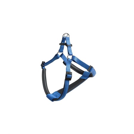 daytona p exlarge blu pett