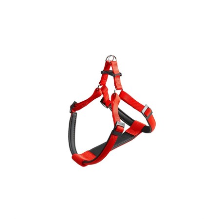 daytona p exlarge rossa pett