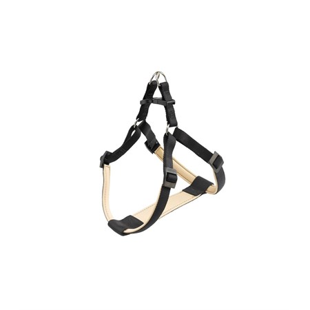 daytona p medium nera pett