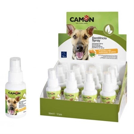Dentifricio Spray in Cani