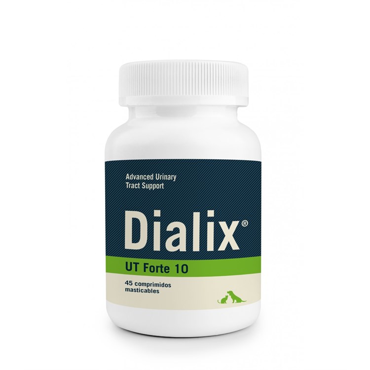 DIALIX UT FORTE 10 45 CHEWS