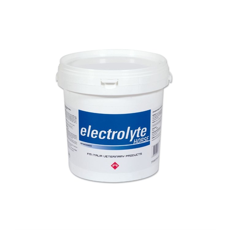 ELECTROLYTE HORSE 3 KG  FM