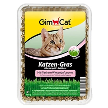 GimCat Erba per Gatti Cat Grass in Gatti