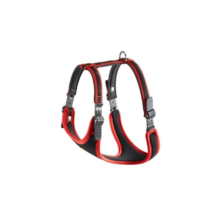 ERGOCOMFORT P XL ROSSO PETTORINA in Cani