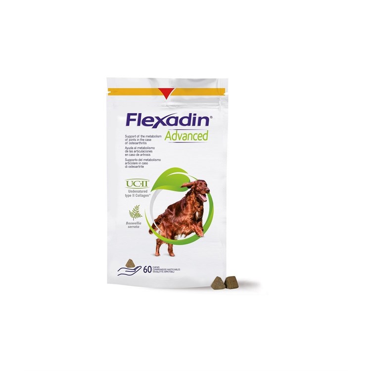 FLEXADIN ADVANCED 60 TAV MASTIC  NUOVA FORMULA