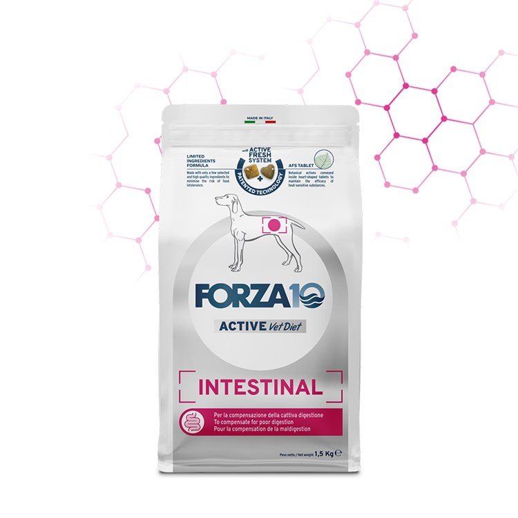 Forza 10 Active Line Intestinal 4 kg Crocchette Cane SCAD 31.12.25