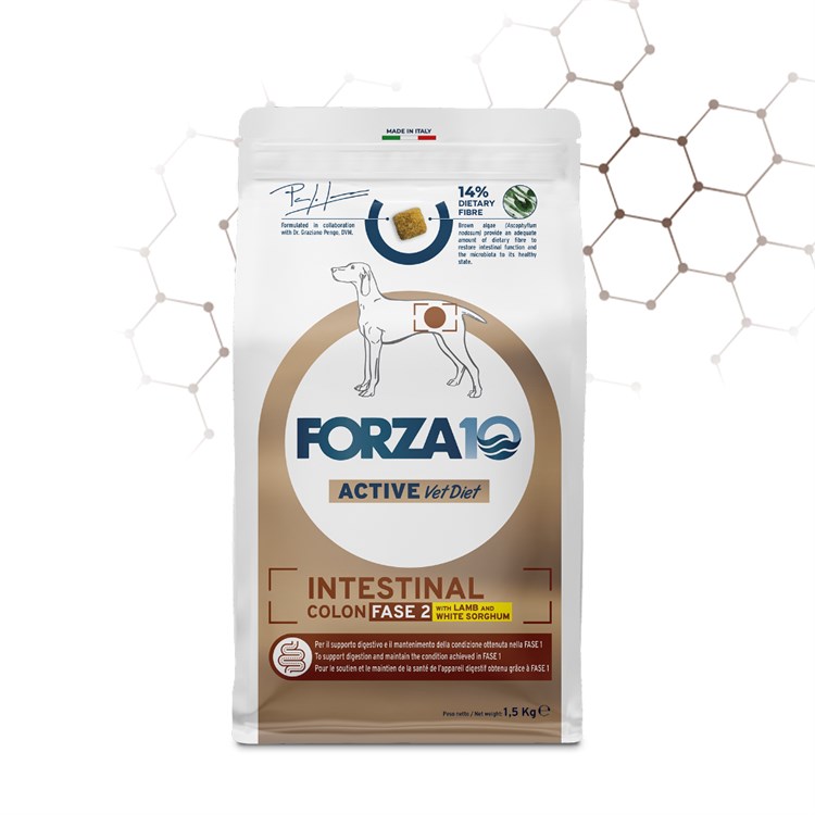 Forza 10 Active Vet Diet Intestinal Colon Fase 2 Agnello 10 Kg Crocchette Per Cani