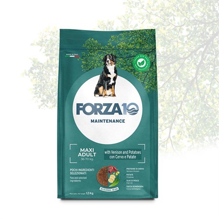 forza 10 adult maxi maintenance cervo 12 5 kg per cani