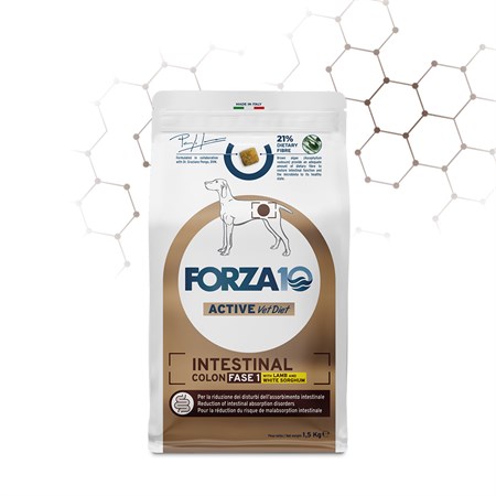 forza 10 intestinal colon fase 1 agnello sorgo 10 kg per cani