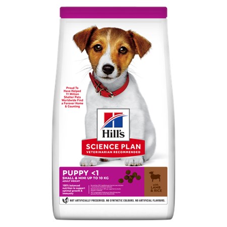 hill s science plan small mini puppy agnello e riso 6 kg alimento cani