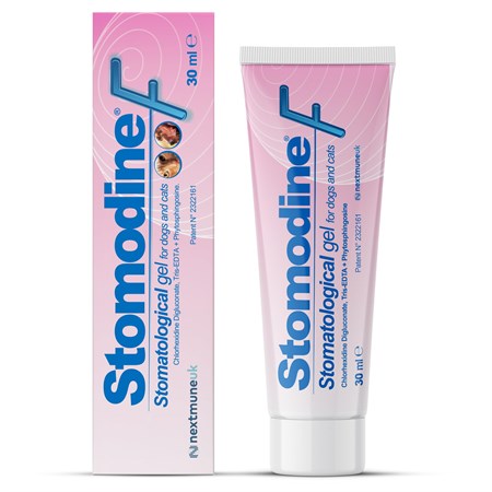 icf stomodine gel 30 ml gengive per cani e gatti