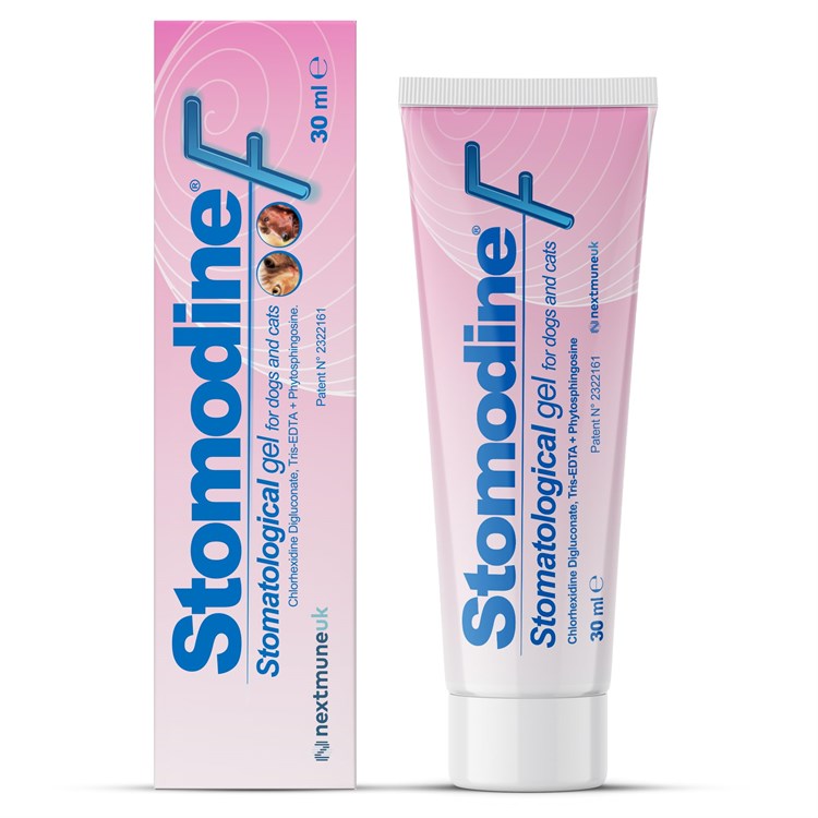 Icf Stomodine Gel 30 ml Gengive per Cani e Gatti