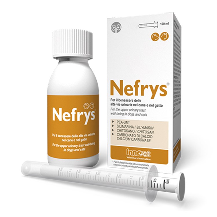 Innovet Nefrys Veg 100 ml Con Siringa Dosatrice