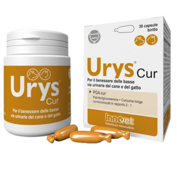 Innovet Urys Cur 30 Capsule Birillo Monodose