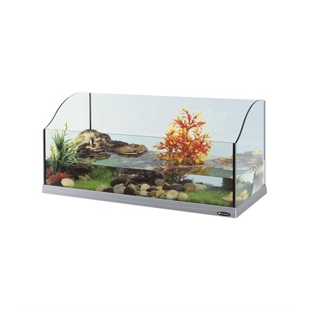 JAMAICA 80 GRIGIA in Rettili