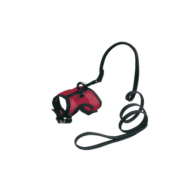 JOGGING L PETTORINA C/GUINZAGLIO