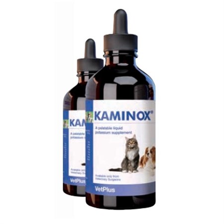 Kaminox Sciroppo in Cani